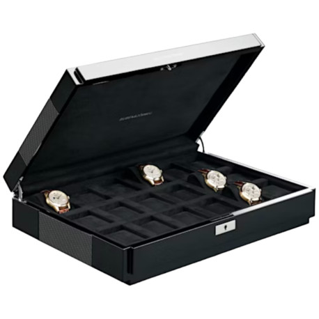 Buben & Zorweg Vantage 10 Carbon - watch box