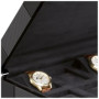 Buben & Zorweg Vantage 10 Carbon - watch box